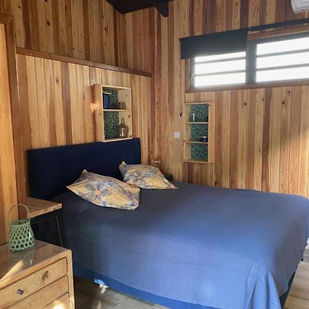 Le Chalet Du Domaine 라 살린 레 뱅 외부 사진
