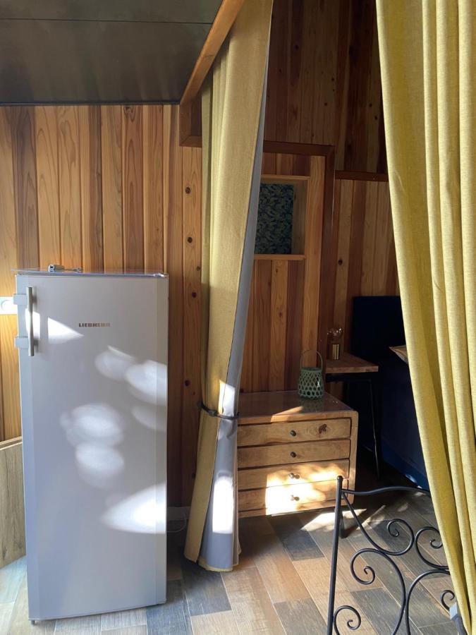 Le Chalet Du Domaine 라 살린 레 뱅 외부 사진